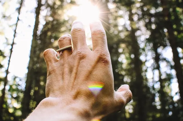 Main d'une personne tendue vers le soleil, symbolisant l'espoir et la connexion avec la nature.